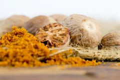  nutmeg fotos de stock royalty free