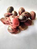  nutmeg fotografia de stock royalty free