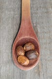 Nutmeg i sked fotografering för bildbyråer Nutmeg i sked fotografering för bildbyråer