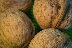 Nuts Makrofoto lizenzfreies stockbild Nuts Makrofoto lizenzfreies stockbild