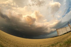 Nuvole di tempesta minacciose dietro un giacimento di grano e un silo di grano nel Texas, Stati Uniti fotografia stock Nuvole di tempesta minacciose dietro un giacimento di grano e un silo di grano nel Texas, Stati Uniti fotografia stock