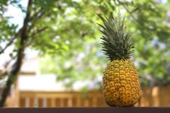 Ny ananas på en trätabell utanför under dagen royaltyfri foto Ny ananas på en trätabell utanför under dagen royaltyfri foto