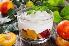 Ny grekisk yoghurt med gula och röda plommoner i kopp Royaltyfria Bilder Ny grekisk yoghurt med gula och röda plommoner i kopp Royaltyfria Bilder