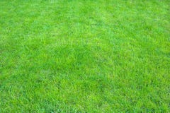 Ny gräsplan manicured gräsmattaslut upp Fäst ihop bakgrund för grönt gräs arkivfoto Ny gräsplan manicured gräsmattaslut upp Fäst ihop bakgrund för grönt gräs arkivfoto