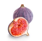 ny isolerad white för fig arkivbild ny isolerad white för fig arkivbild