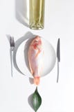 Ny rå fisk på en platta Table inställningen idérikt begrepp fotografering för bildbyråer Ny rå fisk på en platta Table inställningen idérikt begrepp fotografering för bildbyråer