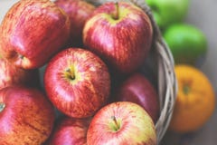 Ny röd äpplefruktträdgård - skördäpplet i korgen bär frukt mot efterkrav trädgården arkivfoton Ny röd äpplefruktträdgård - skördäpplet i korgen bär frukt mot efterkrav trädgården arkivfoton