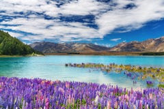 ny tekapo zealand för lake