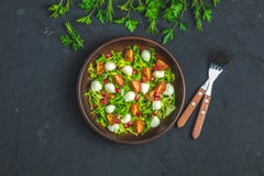 Nya Cherry Tomato, Mozzarellasallad med den gröna grönsallatblandningen royaltyfri bild Nya Cherry Tomato, Mozzarellasallad med den gröna grönsallatblandningen royaltyfri bild