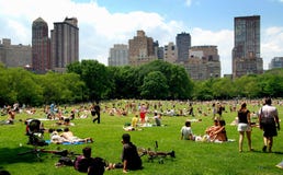 NYC: The Sheep Meadow In Central Park Stock Images NYC: The Sheep Meadow In Central Park Stock Images