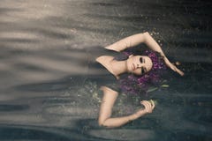 Nymphe d'eau Photo stock Nymphe d'eau Photo stock