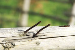 Nägel im Holz stockfoto Nägel im Holz stockfoto