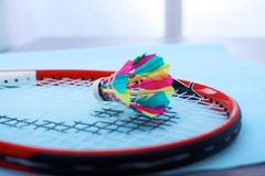 Närbild av badmingtonracket med bollar på en blå bakgrund fotografering för bildbyråer Närbild av badmingtonracket med bollar på en blå bakgrund fotografering för bildbyråer