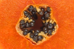 Närbild av skaftpapayas med svart frö royaltyfri foto Närbild av skaftpapayas med svart frö royaltyfri foto