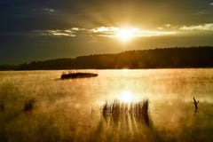 Névoa da manhã no lago no sol imagens de stock Névoa da manhã no lago no sol imagens de stock