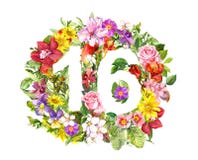 Número floral 16 dieciséis de las flores del verano y de la hierba de prado r libre illustration Número floral 16 dieciséis de las flores del verano y de la hierba de prado r libre illustration