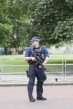 O agente da polícia armado metropolita durante a mudança cerimonial da Londres guarda, Londres, Reino Unido Imagens de Stock O agente da polícia armado metropolita durante a mudança cerimonial da Londres guarda, Londres, Reino Unido Imagens de Stock