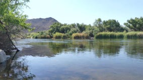 O Arizona, Salt River, opinião de A que olha rio acima no Salt River com árvores e uma montanha O Arizona, Salt River, opinião de A que olha rio acima no Salt River com árvores e uma montanha