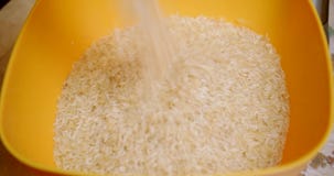 O arroz é derramado em uma bacia O arroz é derramado em uma bacia