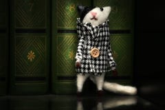 O brinquedo do gato de lãs registra o dia imagem de stock O brinquedo do gato de lãs registra o dia imagem de stock