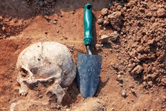 O conceito de escavações arqueológicos O crânio humano das sobras é meio na terra com pá próximo Processo real do escavador imagem de stock O conceito de escavações arqueológicos O crânio humano das sobras é meio na terra com pá próximo Processo real do escavador imagem de stock