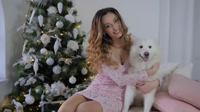 O cão do Natal, os abraços alegres da jovem mulher e o Samoyed das carícias perseguem na cama na árvore decorada fundo do Xmas video estoque O cão do Natal, os abraços alegres da jovem mulher e o Samoyed das carícias perseguem na cama na árvore decorada fundo do Xmas video estoque