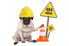 O cão do Pug com o capacete e o cone amarelos de segurança do construtor e 404 erro e sem saída assinam no polo de madeira Imagens de Stock O cão do Pug com o capacete e o cone amarelos de segurança do construtor e 404 erro e sem saída assinam no polo de madeira Imagens de Stock