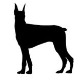 O cão espera ilustração royalty free O cão espera ilustração royalty free