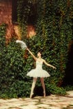 O dançarino de bailado da mulher em um vestido branco está dançando na natureza fotos de stock O dançarino de bailado da mulher em um vestido branco está dançando na natureza fotos de stock