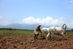 O fazendeiro ara o campo agrícola imagem de stock O fazendeiro ara o campo agrícola imagem de stock