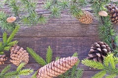 O Feliz Natal molda com agulhas e cones do pinheiro Imagem de Stock Royalty Free O Feliz Natal molda com agulhas e cones do pinheiro Imagem de Stock Royalty Free