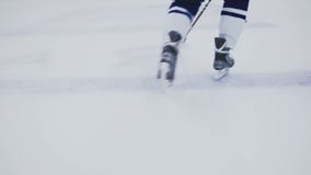 o jogador de hóquei marca um objetivo na porta video estoque o jogador de hóquei marca um objetivo na porta video estoque