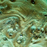 Fundo quadrado pearlescent verde abstrato fotografia de stock royalty free Fundo quadrado pearlescent verde abstrato fotografia de stock royalty free