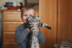 O menino engraçado pequeno abraça o gato fotografia de stock royalty free O menino engraçado pequeno abraça o gato fotografia de stock royalty free
