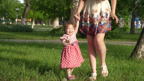 O Mum anda no parque no gramado com criança pequena, mamã ensina para andar pouca filha, criança guarda a mão de sua mãe fotografia de stock O Mum anda no parque no gramado com criança pequena, mamã ensina para andar pouca filha, criança guarda a mão de sua mãe fotografia de stock