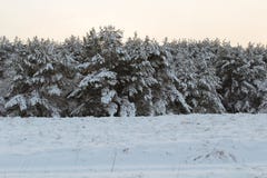 O panorama espetacular é aberto em montanhas, árvores cobertas com a neve branca imagem de stock O panorama espetacular é aberto em montanhas, árvores cobertas com a neve branca imagem de stock