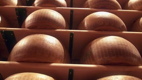 O Parmesão roda os formulários do queijo que temperam em uma fábrica de Reggiano do Parmigiano filme O Parmesão roda os formulários do queijo que temperam em uma fábrica de Reggiano do Parmigiano filme