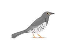 O pássaro do cuco está ainda a ilustração do vetor ilustração stock O pássaro do cuco está ainda a ilustração do vetor ilustração stock