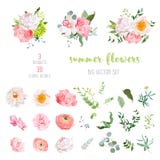 O ranúnculo, aumentou, peônia, dália, camélia, cravo, orquídea, flores da hortênsia e coleção grande do vetor das plantas decorat Fotos de Stock O ranúnculo, aumentou, peônia, dália, camélia, cravo, orquídea, flores da hortênsia e coleção grande do vetor das plantas decorat Fotos de Stock