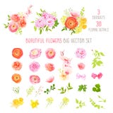 O ranúnculo, aumentou, peônia, narciso, flores da orquídea e coleção grande do vetor das plantas decorativas O ranúnculo, aumentou, peônia, narciso, flores da orquídea e coleção grande do vetor das plantas decorativas