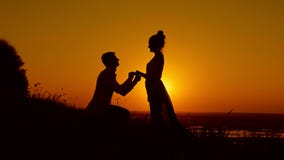 O retrato de uma menina e de um homem - menino que obtém para baixo em seu joelho e que propõe à mulher no prado do verão - pares vídeos de arquivo O retrato de uma menina e de um homem - menino que obtém para baixo em seu joelho e que propõe à mulher no prado do verão - pares vídeos de arquivo