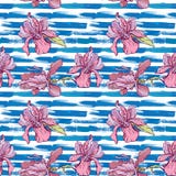 O teste padrão sem emenda com orquídea floresce no azul listrado do grunge ilustração do vetor O teste padrão sem emenda com orquídea floresce no azul listrado do grunge ilustração do vetor