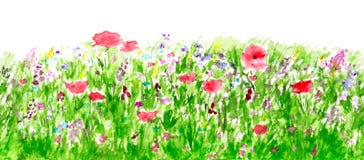 O verão floresce a aguarela, teste padrão sem emenda da beira Imagem de Stock O verão floresce a aguarela, teste padrão sem emenda da beira Imagem de Stock