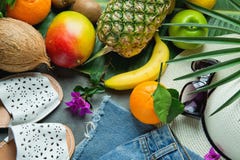 O verão tropical frutifica coco das bananas da manga do abacaxi na grande folha da palmeira Óculos de sol do chapéu dos deslizado imagens de stock O verão tropical frutifica coco das bananas da manga do abacaxi na grande folha da palmeira Óculos de sol do chapéu dos deslizado imagens de stock