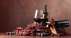 O vinho tinto e as uvas frescas com secado acima da videira saem imagem de stock O vinho tinto e as uvas frescas com secado acima da videira saem imagem de stock