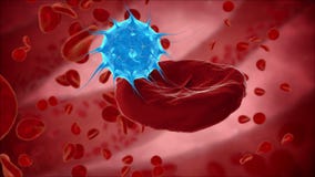 O vírus, bactérias, micróbio mata o glóbulo, eritrocite Conceito MÉDICO HUD ilustração stock O vírus, bactérias, micróbio mata o glóbulo, eritrocite Conceito MÉDICO HUD ilustração stock