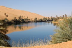 oasis Sahara de désert
