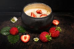 oatmeal photo stock oatmeal photo stock