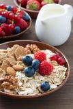 Oatmeal και muesli σε ένα κύπελλο, φρέσκα μούρα και ένα γάλα Στοκ φωτογραφίες με δικαίωμα ελεύθερης χρήσης Oatmeal και muesli σε ένα κύπελλο, φρέσκα μούρα και ένα γάλα Στοκ φωτογραφίες με δικαίωμα ελεύθερης χρήσης