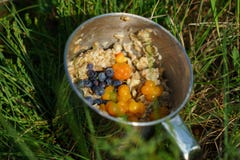 Oatmeal φλυτζανιών χάλυβα κουάκερ με τα μούρα και βακκίνιο στη χλόη στοκ φωτογραφία με δικαίωμα ελεύθερης χρήσης Oatmeal φλυτζανιών χάλυβα κουάκερ με τα μούρα και βακκίνιο στη χλόη στοκ φωτογραφία με δικαίωμα ελεύθερης χρήσης